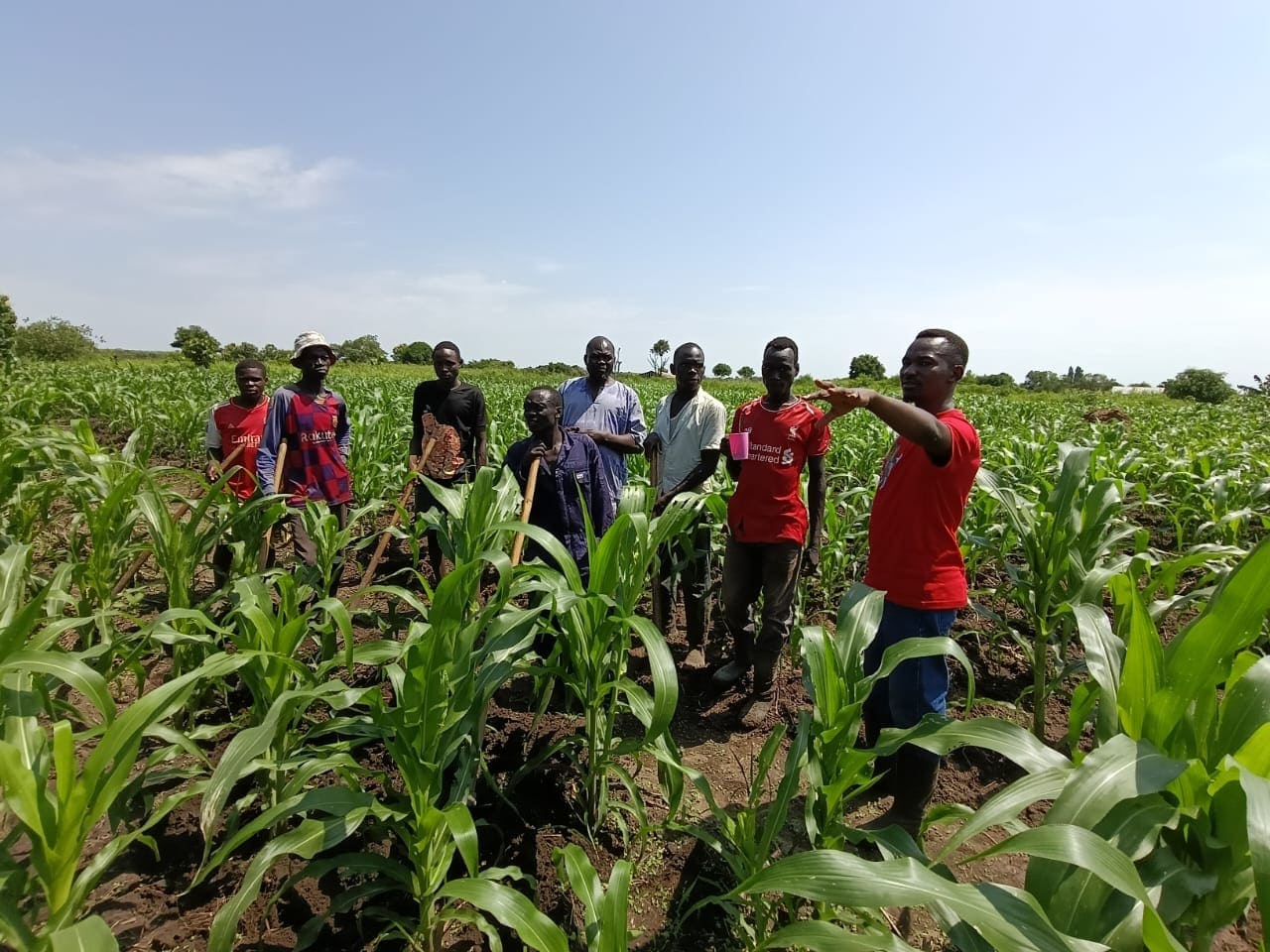 KEDEV Information Gathering