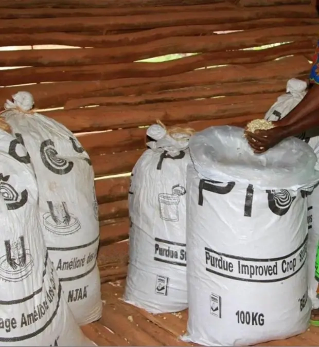 Post-Harvest Management