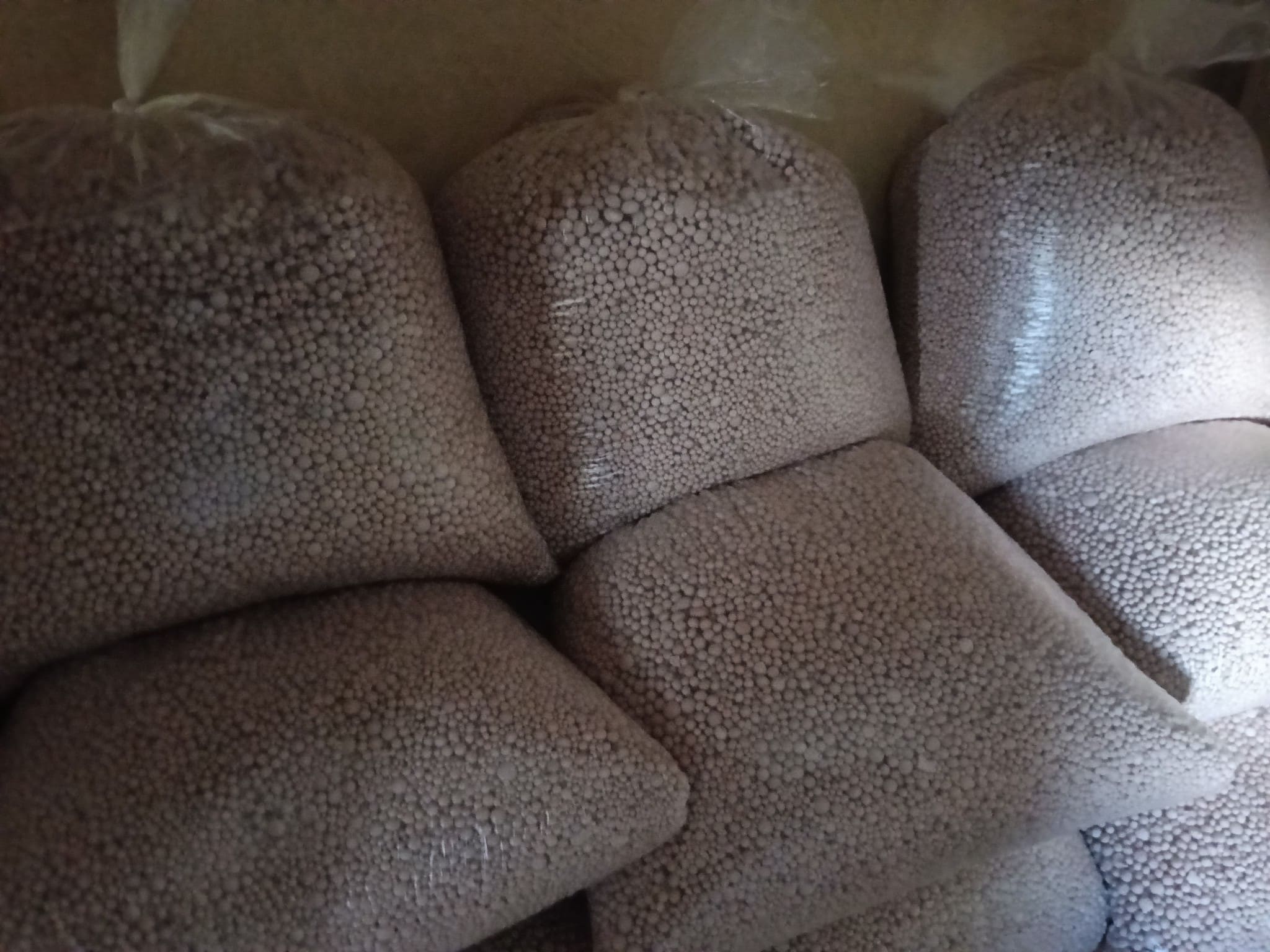 KEDEV AGRI Solutions' Quality Seeds